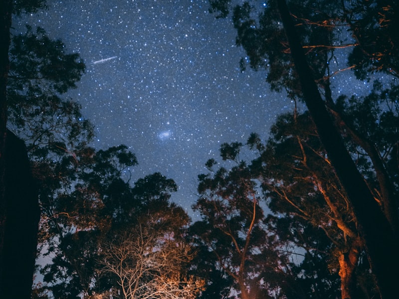 家庭用户在森林中使用轻量化露营装备享受户外生活